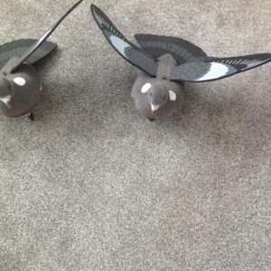 Flock coated flying pigeon decoy