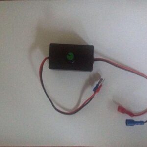 Speed controller for pigeon magnet